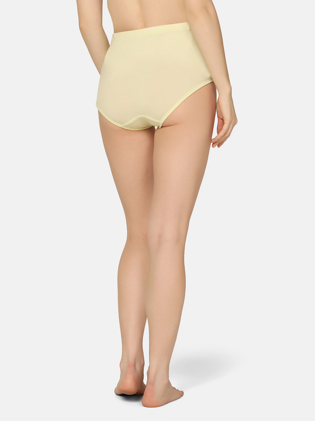 Mamma Presto Pack Of Two High Rise Pre Pregnancy Panty - Da Intimo - Lingerie Online Store India