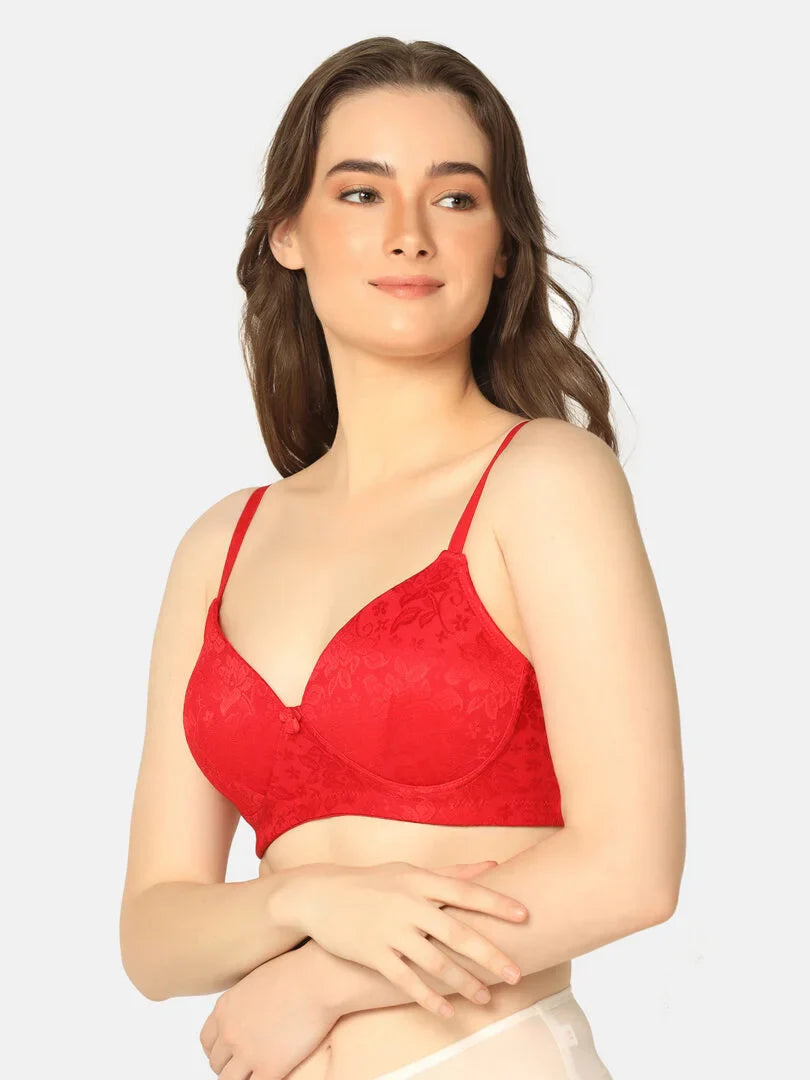 Pack Of 2 Lightly Padded Lacy Design Everyday T-Shirt Bra