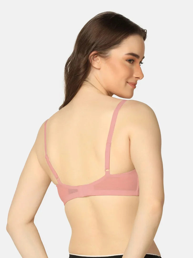 Pack Of 3 Soft Padded Everyday Comfort T-Shirt Bra